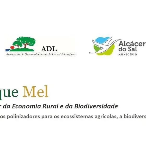 Colóquio “Mais do que Mel” antecede inauguração da PIMEL

O mel é o produto end…