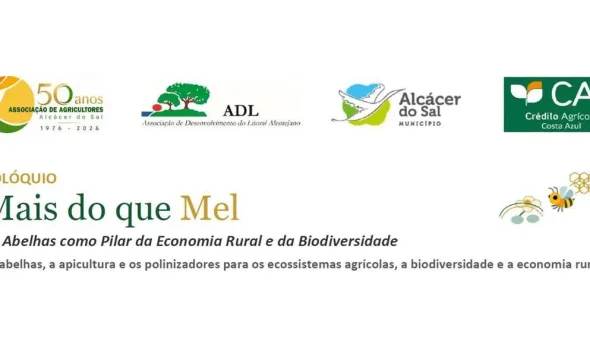 Colóquio “Mais do que Mel” antecede inauguração da PIMEL

O mel é o produto end…