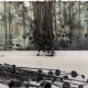 Explorar o Norte | Serralves

Em Serralves, a arte contemporânea torna-se espaço…