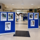 Exposição fotográfica destaca prevenção de quedas no Hospital Padre Américo