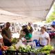Feirantes do Mercado Municipal de Celorico de Basto aderem a campanha de reciclagem