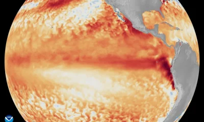 Fenómeno #ElNiño 2026

As previsões mais recentes do Climate Prediction Center (…