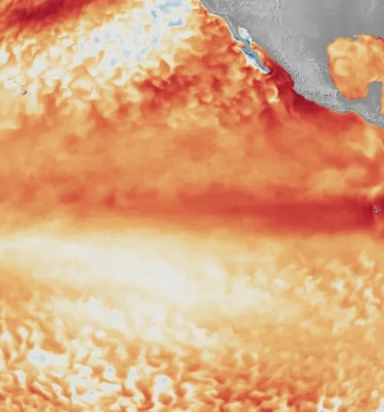 Fenómeno #ElNiño 2026

As previsões mais recentes do Climate Prediction Center (…