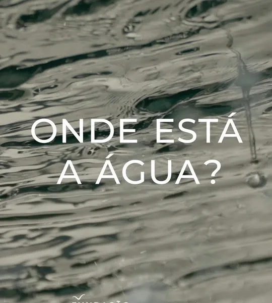Garantir que a água chega a todos é um dos grandes desafios do nosso tempo. Esta…