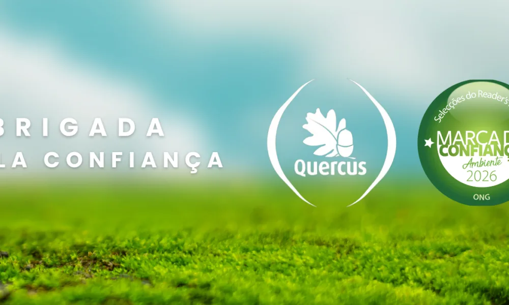 Quercus distinguida como Organização Ambiental de Confiança dos Portugueses em 2026