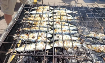Hoje foi dia da sardinhada popular na Festa da Primavera, promovida pela Junta d…