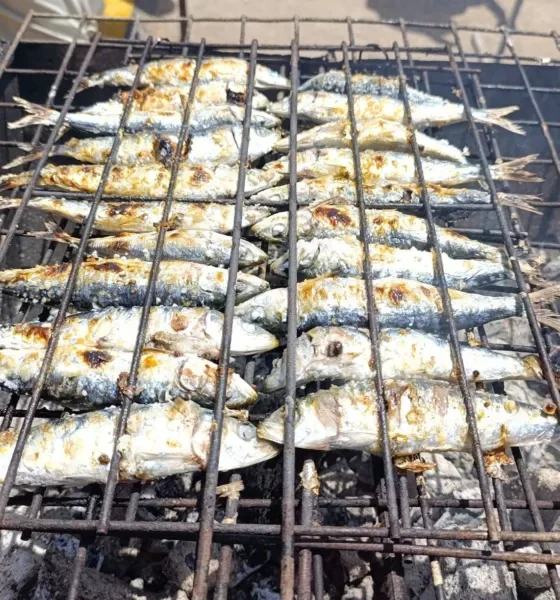 Hoje foi dia da sardinhada popular na Festa da Primavera, promovida pela Junta d…