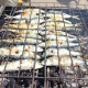 Hoje foi dia da sardinhada popular na Festa da Primavera, promovida pela Junta d…