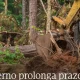 LIMPEZA DE TERRENOS | DATA LIMITE PROLONGADA 30.06.2026

Conforme avançado anter…