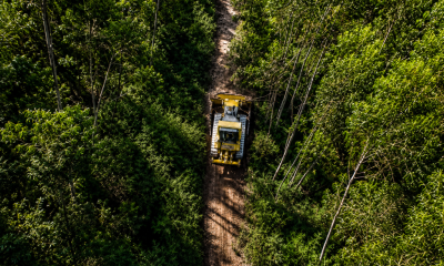 Lousada reforça limpeza de caminhos rurais e apela à gestão de terrenos até ao final de junho
