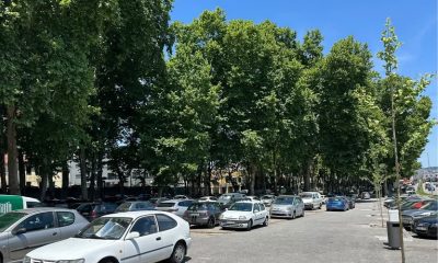 Lousada vai podar arvoredo do recinto da Feira a partir de 18 de junho durante duas semanas