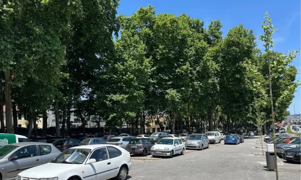 Lousada vai podar arvoredo do recinto da Feira a partir de 18 de junho durante duas semanas