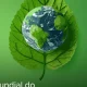 O Dia Mundial do Meio Ambiente apela à adoção de comportamentos mais responsávei…
