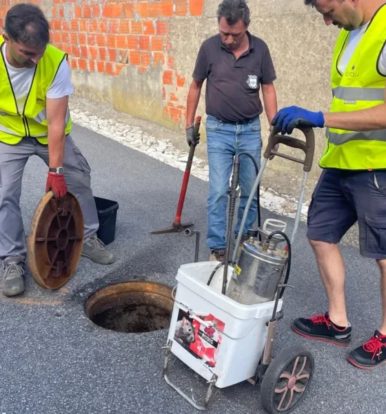 O Município de Viana informa que, encontrar-se a decorrer, em todo o concelho, …