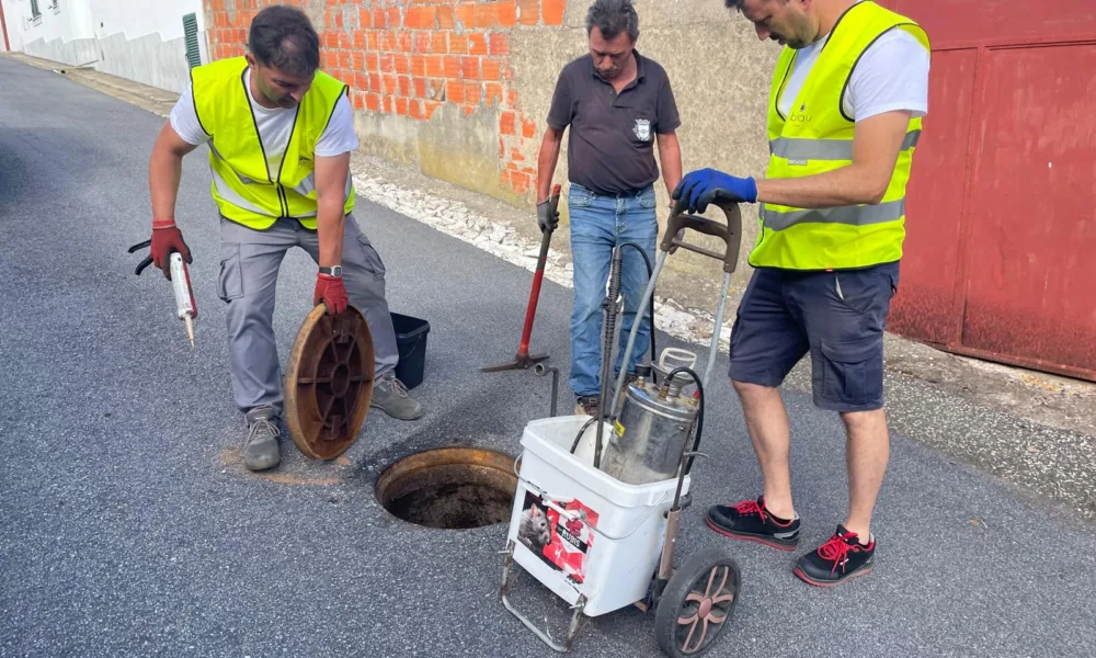 O Município de Viana informa que, encontrar-se a decorrer, em todo o concelho, …