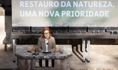 O Plano Nacional de Restauro da Natureza estabelece metas de intervenção até 205…
