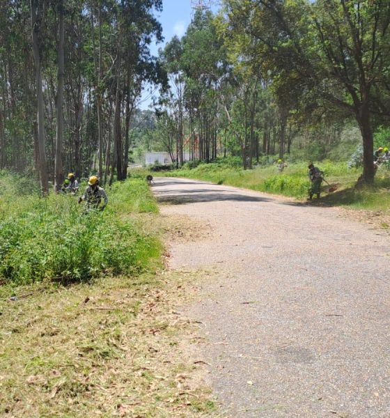Paços de Ferreira reforça prevenção face ao aumento do risco de incêndio