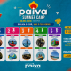 Paiva Summer Camp abre inscrições para três semanas de férias repletas de desporto e aventura