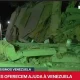 Partilhamos a entrevista do Chefe da Divisão de Geofísica do #IPMA, Fernando Ca…