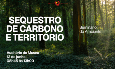 Penafiel debate papel do sequestro de carbono na adaptação às alterações climáticas