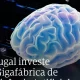 Portugal reforça o investimento na Gigafábrica de Inteligência Artificial. 

O i…