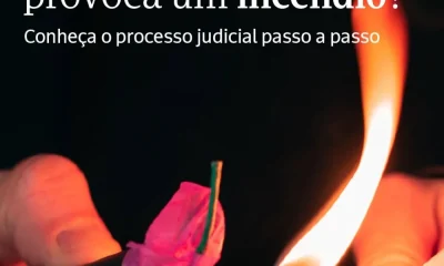Provocar um incêndio rural é um crime público e pode colocar vidas, bens e a nat…