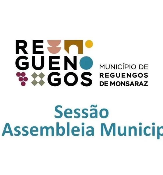 Sessão Ordinária da Assembleia Municipal | 29 junho 2026
Salão Nobre dos Paços d…