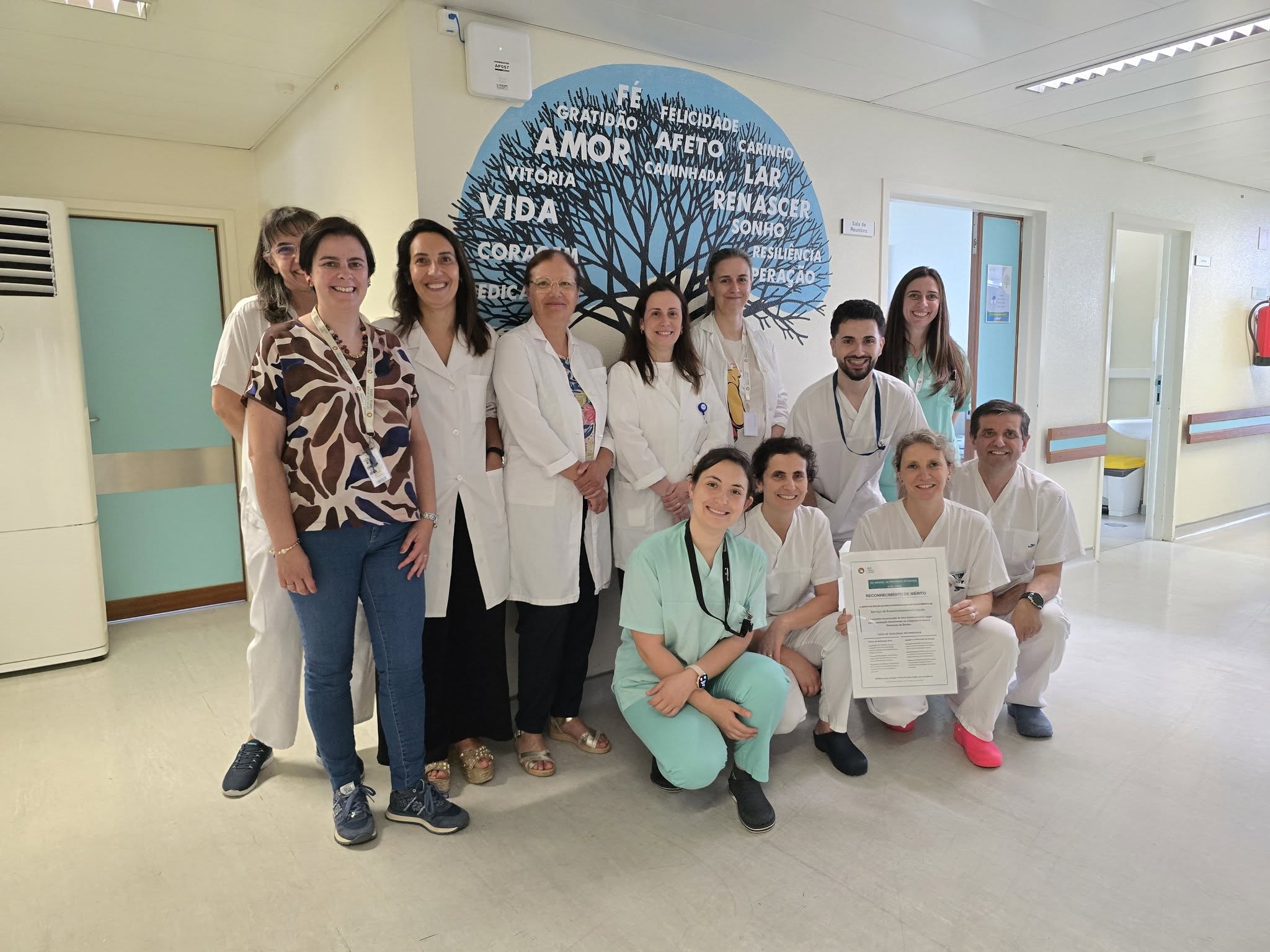 ULSTS distingue equipas pelo compromisso com a prevenção de quedas e reforça cultura de segurança do doente