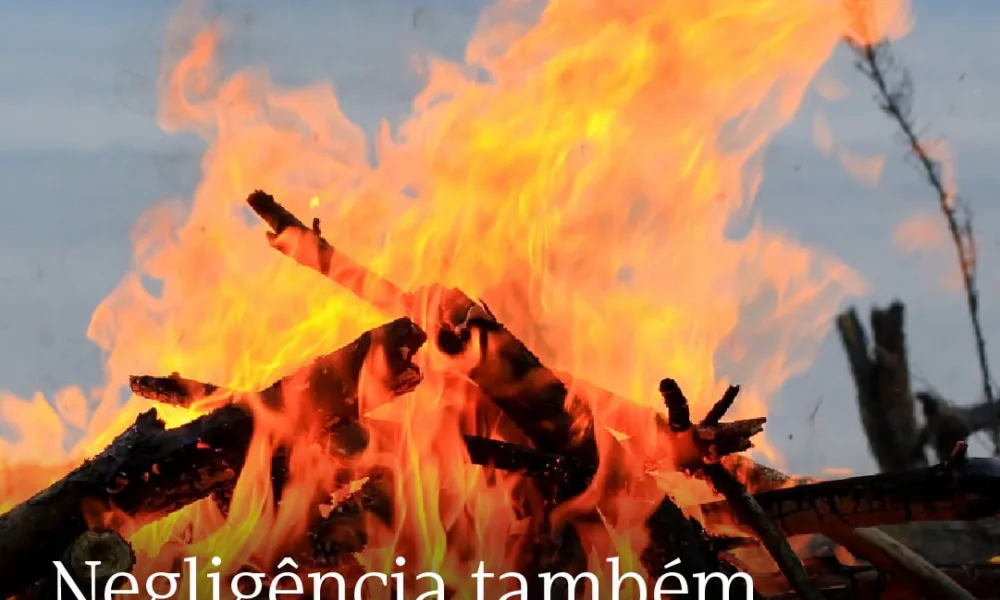 Um pequeno descuido pode ter consequências graves. A negligência também pode est…
