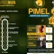 Vêm aí três dias intensos de PIMEL!

A PIMEL – XXXIV Feira do Turismo e das Ativ…