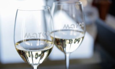 Vinhos do Marco conquistam sete medalhas no Concurso Mundial de Bruxelas realizado na Arménia