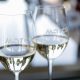 Vinhos do Marco conquistam sete medalhas no Concurso Mundial de Bruxelas realizado na Arménia