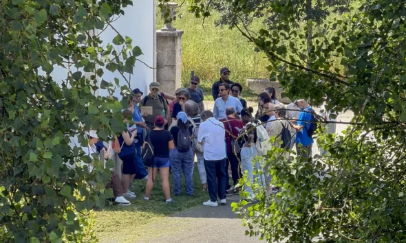 U.Porto e CMP lideraram Caminhada Verde por Campanhã
