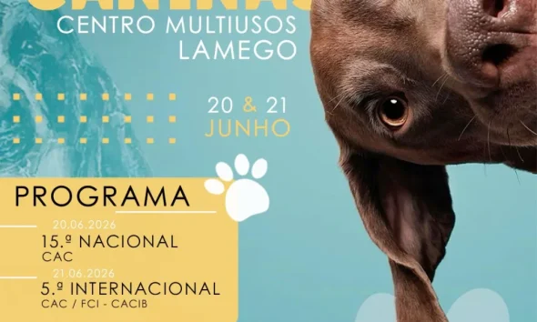 Lamego acolhe exposições caninas oficiais no próximo fim de semana