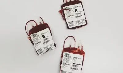 Hoje celebra-se o Dia Mundial do Doador de Sangue – 14 de junho