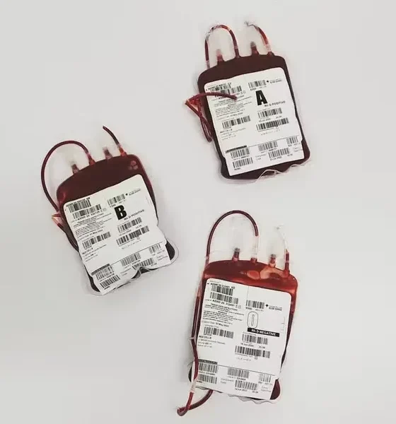 Hoje celebra-se o Dia Mundial do Doador de Sangue – 14 de junho