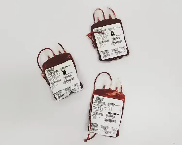 Hoje celebra-se o Dia Mundial do Doador de Sangue – 14 de junho