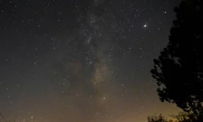 “A noite nas margens do Rio Cobres”: Caminhada noturna explora astronomia e fauna em Beja