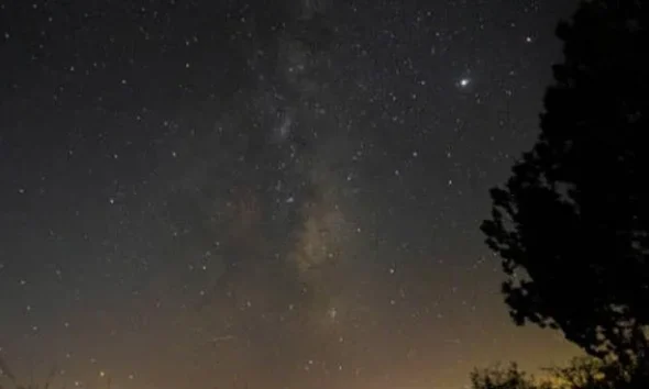 “A noite nas margens do Rio Cobres”: Caminhada noturna explora astronomia e fauna em Beja