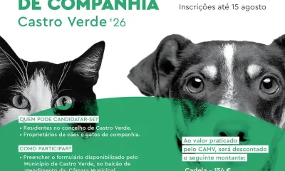 Castro Verde abre candidaturas para apoio à esterilização de cães e gatos