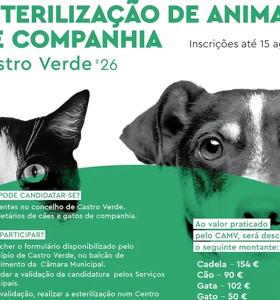 Castro Verde abre candidaturas para apoio à esterilização de cães e gatos