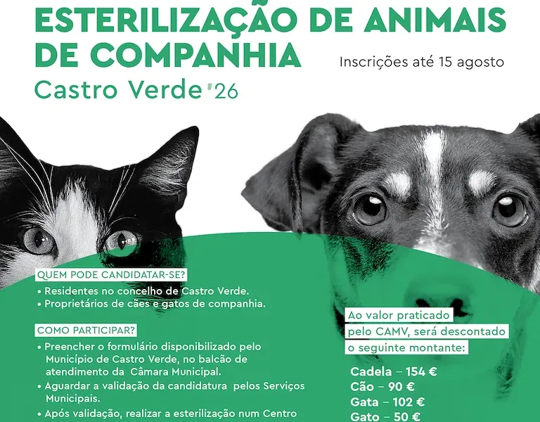 Castro Verde abre candidaturas para apoio à esterilização de cães e gatos