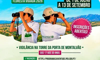 Inscrições abertas para o programa Voluntariado Jovem para a Natureza e Florestas em Nisa