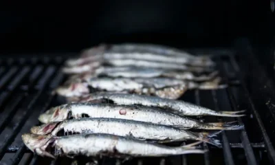 Ourém preenche fim de semana: desde sardinhada a com eventos institucionais, culturais e escolares