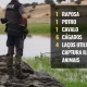 Beja: GNR localiza animais mortos e armadilhas ilegais em operação de proteção da biodiversidade