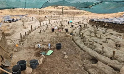 Complexo Arqueológico dos Perdigões recebe nova campanha de escavações e promove Dia Aberto em julho