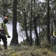 Incêndios: Prazo para limpar terrenos termina hoje e proprietários pedem “tolerância” às autoridades
