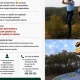 GNR de Beja alerta para riscos de incêndio rural devido à subida das temperaturas