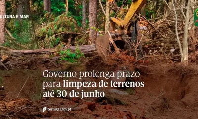 Governo prolonga prazo para limpeza de terrenos até 30 de junho, em todo o território nacional