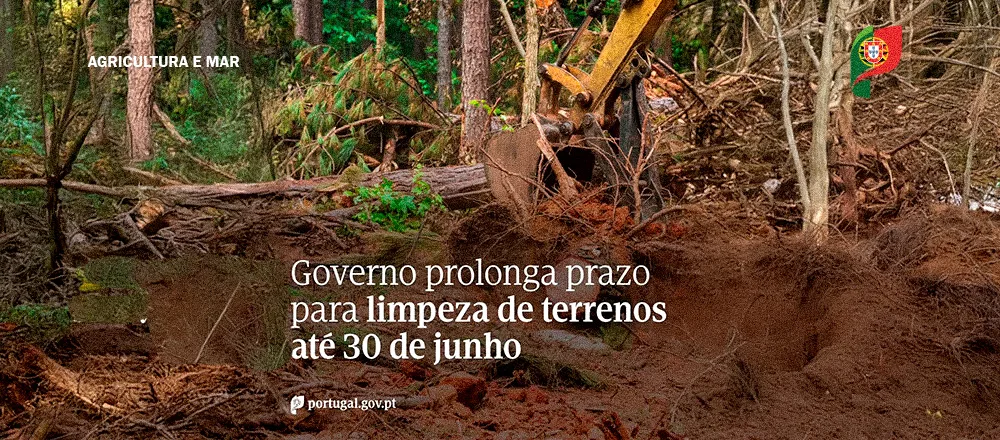 Governo prolonga prazo para limpeza de terrenos até 30 de junho, em todo o território nacional